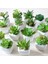 Yeşil Xiaofoshouzhi 39 Stilleri Yeşil Yapay Succulents Bitkiler Ev Bahçe Dekorasyon Düğün Bitkileri Duvar Çiçek Aranjmanı Bonsai Sahte Bitkiler (Yurt Dışından) 3
