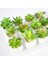 Yeşil Xiaofoshouzhi 39 Stilleri Yeşil Yapay Succulents Bitkiler Ev Bahçe Dekorasyon Düğün Bitkileri Duvar Çiçek Aranjmanı Bonsai Sahte Bitkiler (Yurt Dışından) 4