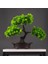 Wolong Çam 27X32 27 cm Yapay Çam Bitkiler Bonsai Sahte Ağaç Süsleri Plastik Bitkiler Ev Odası Masaüstü Dekorasyon Için Peyzaj Simülasyon Ağacı (Yurt Dışından) 1