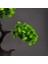 Wolong Çam 27X32 27 cm Yapay Çam Bitkiler Bonsai Sahte Ağaç Süsleri Plastik Bitkiler Ev Odası Masaüstü Dekorasyon Için Peyzaj Simülasyon Ağacı (Yurt Dışından) 5