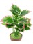 Stil 4 1 Buket / 18 Yaprak Yapay Palmiye Yeşil Turp Bitki Yaprak Ev Düğün Masa Süslemeleri Sahte Bonsai Ağacı Yaprakları Accessori (Yurt Dışından) 4
