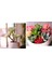 Yeşil Xiao Xianrenke 39 Stilleri Yapay Bitkiler Ev Bahçe Dekorasyon Sahte Bitkiler Bonsai Succulents Bitkiler Düğün Çiçek Aranjmanı Aksesuarları (Yurt Dışından) 4