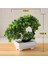 Gül Turuncu 1 Adet Yeni Yapay Bitkiler Bonsai Küçük Ağaç Saksı Sahte Bitki Çiçekler Ev Odası Masa Pulp Pot Bahçe Dekor Için Saksı Süsler (Yurt Dışından) 5