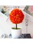 51 Kamelya Gün Batımı Kiraz Kartopu Simülasyon Bitki Saksı Çim Topu Bonsai Küçük Ağaç Ev Dekorasyon Çiçek Süsler Yaratıcı Mini Top (Yurt Dışından) 4
