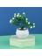 20 Yapay Bitkiler Bonsai Portakal Nar Meyve Biber Ağacı Saksı Pencere Dekor Ev Masa Dekorasyon Mini Plastik Süs (Yurt Dışından) 1