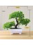 26X19CM Yapay Mini Bonsai Ağacı Saksı Çiçeği Simüle Ağaç Dekor Bitki Sahte Çiçek Saksı Süs Ev Odası Bahçe Dekorasyonu Için (Yurt Dışından) 2