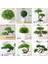 37 Kafaları Mo Li Cao Yeşil Yapay Çam Ağacı Monstera Farsça Çim Okaliptüs Bitkiler Bonsai Ev Aksesuarları Yatak Odası Oturma Odası Dekor Sahte Bitki (Yurt Dışından) 2