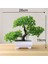 37 Kafaları Mo Li Cao Yeşil Yapay Çam Ağacı Monstera Farsça Çim Okaliptüs Bitkiler Bonsai Ev Aksesuarları Yatak Odası Oturma Odası Dekor Sahte Bitki (Yurt Dışından) 4