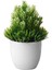 Beyaz Yeşil Karşılama Çam Bonsai Yapay Plastik Yeşil Bitki Saksı Sahte Küçük Ağaç Ev Masa Dekorasyon Bahçe Düzenleme Süsler (Yurt Dışından) 1