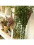 Bahar Fo Shou Cao Yeşil Yapay Succulents Bitkiler Ev Bahçe Yatak Odası Balkon Masaüstü Masa Mini Bonsai Düğün Parti Dekorasyon Sahte Bitkiler (Yurt Dışından) 3