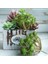 Bahar Fo Shou Cao Yeşil Yapay Succulents Bitkiler Ev Bahçe Yatak Odası Balkon Masaüstü Masa Mini Bonsai Düğün Parti Dekorasyon Sahte Bitkiler (Yurt Dışından) 4