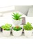 Bahar Fo Shou Cao Yeşil Yapay Succulents Bitkiler Ev Bahçe Yatak Odası Balkon Masaüstü Masa Mini Bonsai Düğün Parti Dekorasyon Sahte Bitkiler (Yurt Dışından) 5