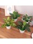 I Mini Yapay Bitkiler Bonsai Küçük Simüle Aloe Ağacı Saksı Bitkileri Sahte Çiçekler Ofis Masası Saksı Süsler Ev Bahçe Dekor (Yurt Dışından) 2