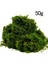 50G Sahte Yosun Yapay Taze Yeşil Yosun Düğün Centerpieces Bahçe Teraryum Dekorasyonu Için (Yurt Dışından) 1