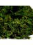 50G Sahte Yosun Yapay Taze Yeşil Yosun Düğün Centerpieces Bahçe Teraryum Dekorasyonu Için (Yurt Dışından) 4