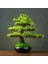 HMB4021 Ev Dekorasyon Saksı Dıy Yanlış Ağaç Bonsai Oturma Odası Çin Tarzı Otel Sundurma Peyzaj Dekorasyon Yeşil Bitki Dekorasyon (Yurt Dışından) 1