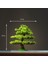 HMB4021 Ev Dekorasyon Saksı Dıy Yanlış Ağaç Bonsai Oturma Odası Çin Tarzı Otel Sundurma Peyzaj Dekorasyon Yeşil Bitki Dekorasyon (Yurt Dışından) 3