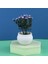 G Mini Masaüstü Küçük Saksı Yapay Aloe Vera Bitki Bonsai Bitki Sahte Çiçek Masası Saksı Dekorasyon Ev Bahçe Dekorasyonu (Yurt Dışından) 1