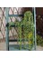 Kar Bezelye 1 Pc (Saksı Olmadan) Yapay Succulents Asılı Duvar Bitkileri Okaliptüs Mandala Asılı Saksı Plastik Çelenk Düğün Ev Dekor Rattan Bonsai (Yurt Dışından) 2