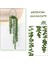 Kar Bezelye 1 Pc (Saksı Olmadan) Yapay Succulents Asılı Duvar Bitkileri Okaliptüs Mandala Asılı Saksı Plastik Çelenk Düğün Ev Dekor Rattan Bonsai (Yurt Dışından) 5