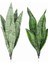 20 cm 2 Yaprak Yapay Succulents Bitkiler Seramik Karo Accessori Tropikal Sahte Uzun Yaprak Bonsai Otel Parti Ev Dekor Fotoğraf Sahne (Yurt Dışından) 2