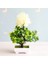 13 Yenı Yapay Bitkiler Bonsai Küçük Ağaç Saksı Bitkileri Ev Dekorasyon Otel Bahçe Dekor Için Sahte Çiçekler Saksı Süsler (Yurt Dışından) 1