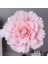 Açık Pembe 30 cm Çoklu Boyutları Düğün Çiçek Büyük Ipek Yapay Çiçek Şakayık Kafası Diy Çiçek Arka Plan Duvar Dekorasyonu (Yurt Dışından) 1