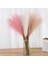Pembe Mor 5 Adet 5/10 Adet 56 cm Yapay Pampas Çim Buket Düğün Parti Için Ev Odası Masa Dekorasyon Mini Sahte Kamış Çiçek Bitki Dıy Vazo (Yurt Dışından) 5