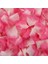 Pembe Beyaz Degrade 100 Adet 100/200/500/2000 Adet Yapay Gül Yaprakları Yapay Çiçek Ipek Yaprakları Sevgililer Günü Düğün Çiçek Dekorasyon Için (Yurt Dışından) 1