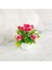 Stil 5 Yapay Saksı Bitki Bonsai Portakal Nar Meyve Ağacı Pot Plastik Bahçe Sahte Bitki Dekorasyon Ev Dekorasyon (Yurt Dışından) 1