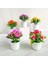 Stil 5 Yapay Saksı Bitki Bonsai Portakal Nar Meyve Ağacı Pot Plastik Bahçe Sahte Bitki Dekorasyon Ev Dekorasyon (Yurt Dışından) 2