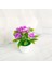 Stil 5 Yapay Saksı Bitki Bonsai Portakal Nar Meyve Ağacı Pot Plastik Bahçe Sahte Bitki Dekorasyon Ev Dekorasyon (Yurt Dışından) 4
