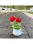 Noel Ağacı Tığ Işi Ayçiçeği Saksı Bitki, Sahte Çiçek Bonsai, Gül, Kaktüs, Antoryum, Calla, Yonca, Lale, Papatya, Ev Masası Dekoru Için Dokuma Hediye (Yurt Dışından) 4
