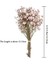Koyu Pembe Mini Babysbreath Doğal Taze Kurutulmuş Korunmuş Çiçekler Küçük Doğal Kurutulmuş Çiçekler Buket Basın Dekoratif Fotoğraf Arka Fonu Dekor (Yurt Dışından) 3