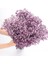 Mor 50G Beyaz Doğal Kurutulmuş Gypsophila Bebeğin Nefesi Kurutulmuş Çiçekler Gypsophila Aranjmanı Ev Dekorasyon Düğün Masa Dekor Çiçek Dıy (Yurt Dışından) 1