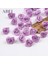 Açık Mor 300 Adet 15MM Mix Renk Küçük Gül Çiçek Mini El Yapımı Saten Kurdele Gül Kafası Düğün Scrapbooking Dekorasyon Elbise Aksesuarları (Yurt Dışından) 2
