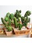 Stil 8 Yapay Plastik Kaktüs Succulents Dikenli Armut Saksı Bitki Hiçbir Pot Çevre Dostu Simülasyon Ev Ofis Masaüstü Dekorasyon Sıcak (Yurt Dışından) 1