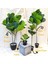 75CM3 Çatal Broşürü Yenı Tropikal Bitkiler Büyük Yapay Ficus Ağacı Şubesi Gerçek Dokunmatik Banyan Ağacı Sahte Palmiye Yaprakları Ev Bahçe Ofis Dekor Için (Yurt Dışından) 3