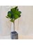75CM3 Çatal Broşürü Yenı Tropikal Bitkiler Büyük Yapay Ficus Ağacı Şubesi Gerçek Dokunmatik Banyan Ağacı Sahte Palmiye Yaprakları Ev Bahçe Ofis Dekor Için (Yurt Dışından) 5