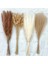 80 Kaynaklanıyor Yaklaşık 55 cm (Vazo Yok) 100 Adet/grup Pampas Seti Dekorasyon Kabarık Doğal Oturma Odası Dekorasyon Uzun Pampas Çim Kurutulmuş Çiçekler Buket Boho Ev Dekor (Yurt Dışından) 3