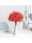 Mavi 120G Hiçbir Vazo Kurutulmuş Bebek Nefes Çiçek Buketleri Renkli Beyaz Gypsophile Doğal Kuru Çiçek Gypsophila Düğün Dekorasyon Iskandinav Ev Dekor (Yurt Dışından) 3