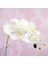A-Beyaz 1 Adet Ev Aksesuarları Ipek Yapay Orkide Phalaenopsis Hissediyorum Film Düğün Çiçekleri Dekor Fotoğraf Sahne Yapay Saksı (Yurt Dışından) 1