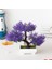 Mor Yapay Bitki Bonsai Plastik Küçük Ağaç Saksı Sahte Bitki Çiçek Saksı Süsler Ev Odası Masa Bahçe Otel Dekorasyon Için (Yurt Dışından) 1