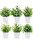 Stil 2 Yapay Bitkiler Bonsai Yeşil Sahte Bitki Okaliptüs Saksı Süs Ev Bahçe Oturma Odası Dekorasyon Düğün Dekor Için (Yurt Dışından) 1