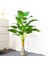 90CM 18LEAVES Yeşil 100CM 24HEADS Yapay Muz Ağacı Büyük Tropikal Bitkiler Sahte Palmiye Yaprakları Plastik Monstera Sonbahar Dekor Için Musa Ağacı Yaprakları (Yurt Dışından) 2