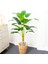 90CM 18LEAVES Yeşil 100CM 24HEADS Yapay Muz Ağacı Büyük Tropikal Bitkiler Sahte Palmiye Yaprakları Plastik Monstera Sonbahar Dekor Için Musa Ağacı Yaprakları (Yurt Dışından) 5