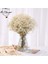 Yeşil 150G Hiçbir Vazo Kurutulmuş Bebek Nefes Çiçek Buketleri Renkli Beyaz Gypsophile Doğal Kuru Çiçek Gypsophila Düğün Dekorasyon Iskandinav Ev Dekor (Yurt Dışından) 2