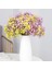 Yeşil 150G Hiçbir Vazo Kurutulmuş Bebek Nefes Çiçek Buketleri Renkli Beyaz Gypsophile Doğal Kuru Çiçek Gypsophila Düğün Dekorasyon Iskandinav Ev Dekor (Yurt Dışından) 5