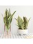 6 LEAF-369A Yapay Bitkiler Ev Bahçe Dekorasyonu Için Plastik Sansevieria Şubesi Dıy Bonsai Açık Sahte Bitkiler (Yurt Dışından) 4