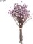 Purple1 Mini Dekoratif Kurutulmuş Çiçekler Babysbreath Çiçek Buketi Doğal Bitkiler Düğün Ev Dekorasyonu Için Çiçek Koruyun (Yurt Dışından) 1
